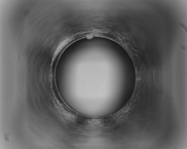 X0000102360102200808081139