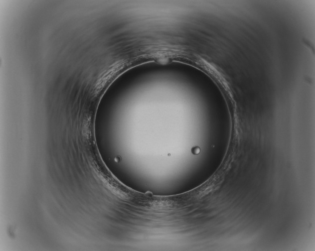 X0000102360105200808081139