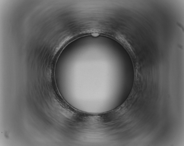 X0000102360108200808081139