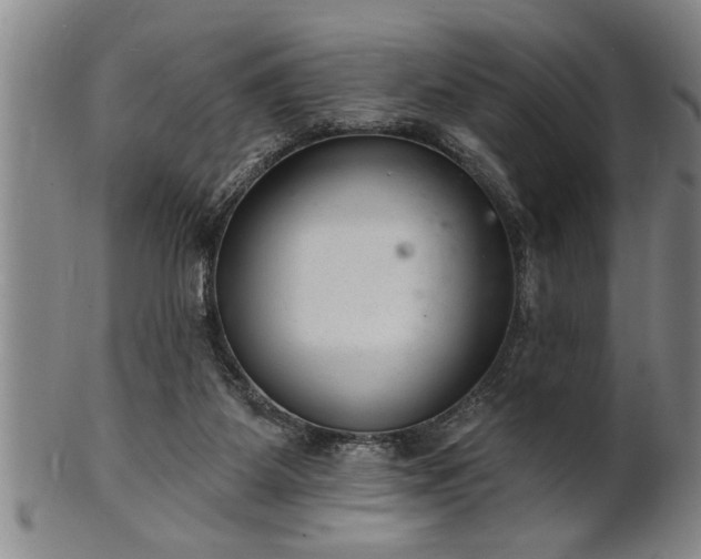 X0000102360115200808081139