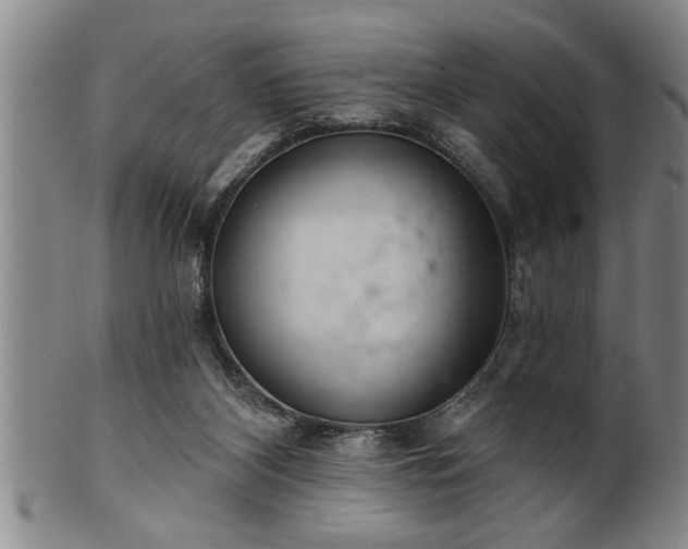 X0000102360116200808081139