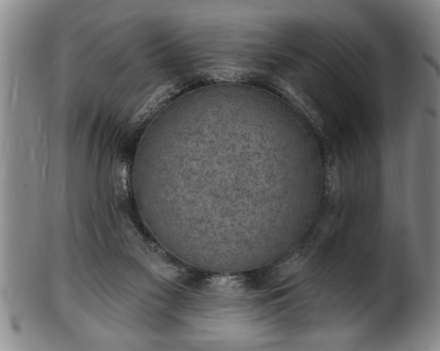 X0000102360117200808081139