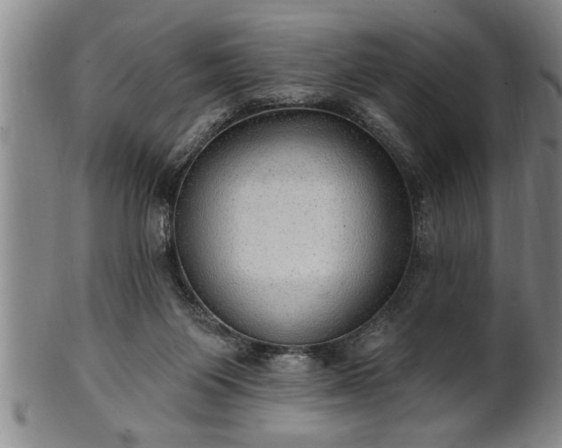 X0000102360119200808081139