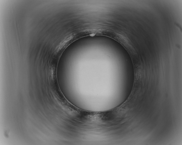 X0000102360120200808081139