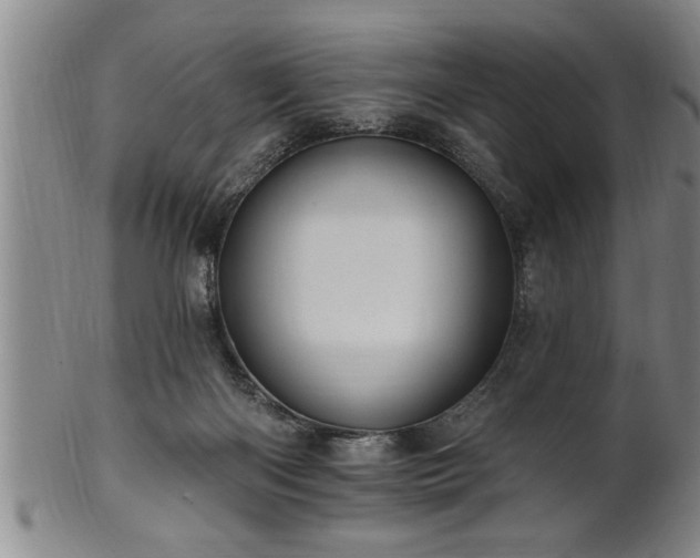 X0000102360122200808081139