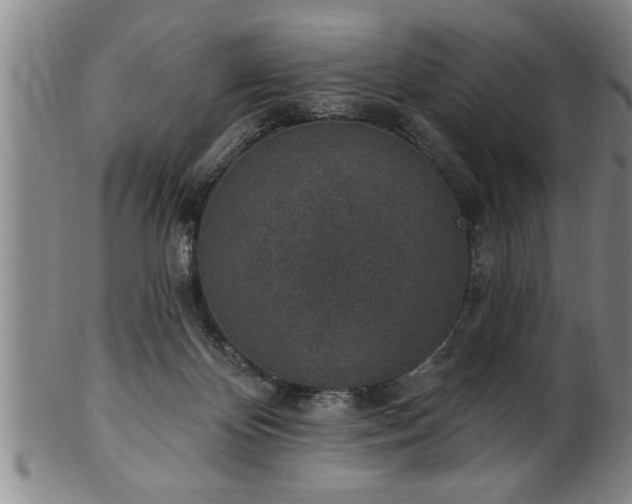 X0000102360124200808081138