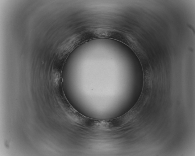 X0000102360125200808081138