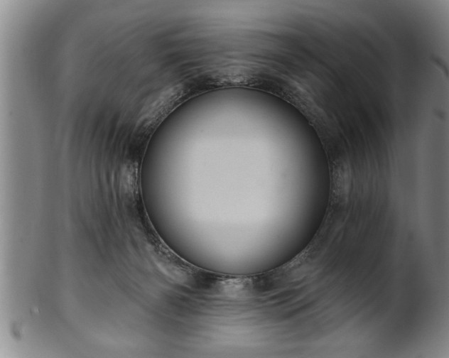 X0000102360126200808081138