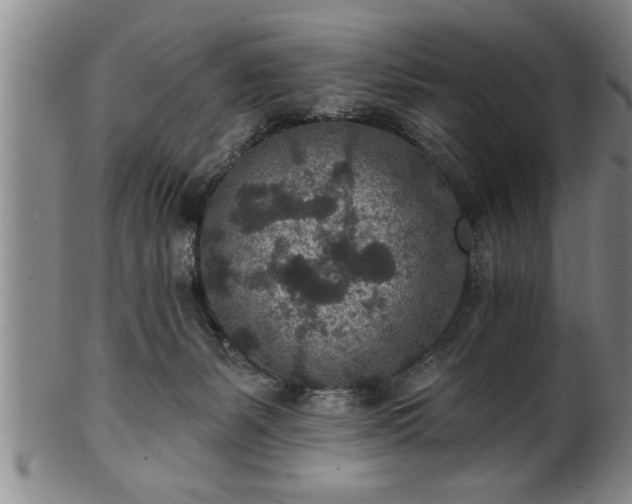 X0000102360127200808081138