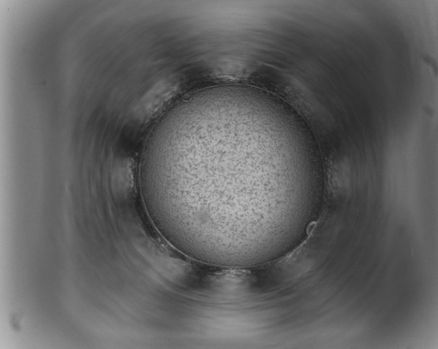 X0000102360128200808081138