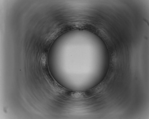 X0000102360129200808081138