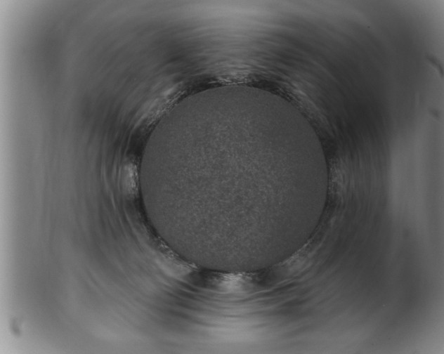 X0000102360130200808081138