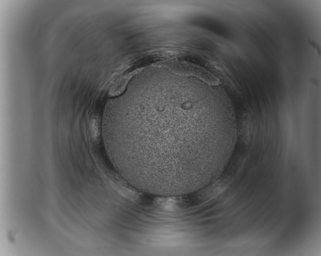 X0000102360131200808081138