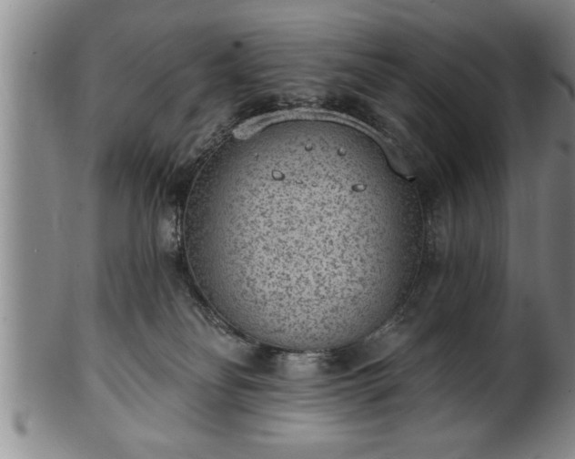 X0000102360134200808081138