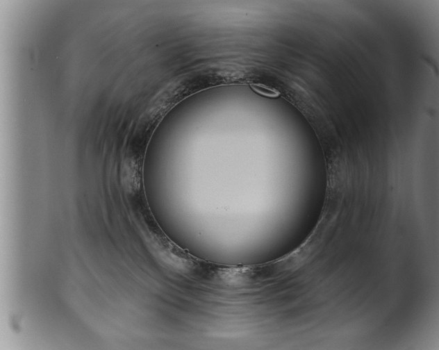 X0000102360136200808081138