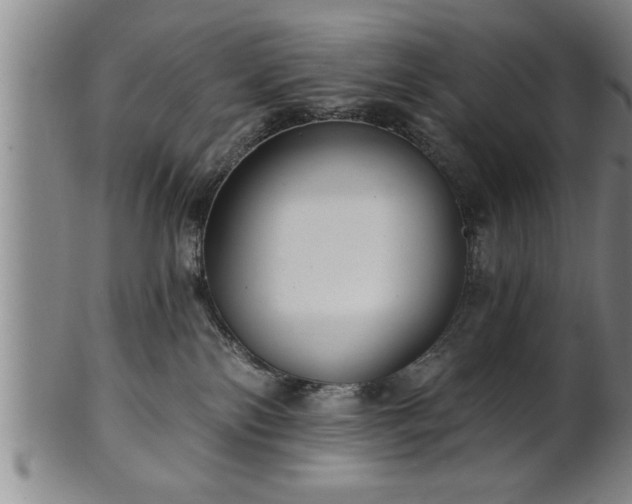 X0000102360138200808081138