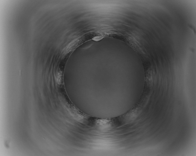 X0000102360139200808081138