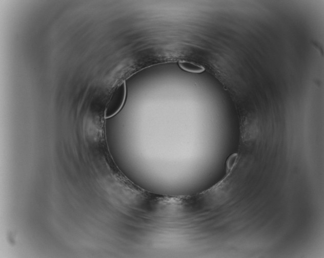 X0000102360140200808081138