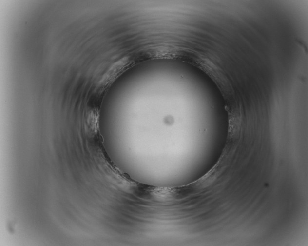 X0000102360142200808081138