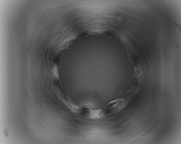 X0000102360143200808081138