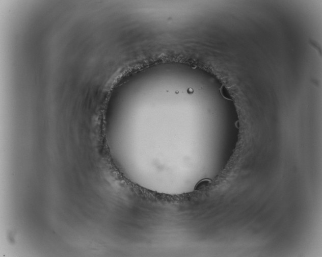 X0000102360144200808081138