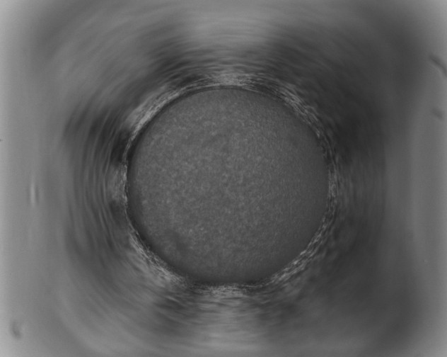 X0000102360146200808081138