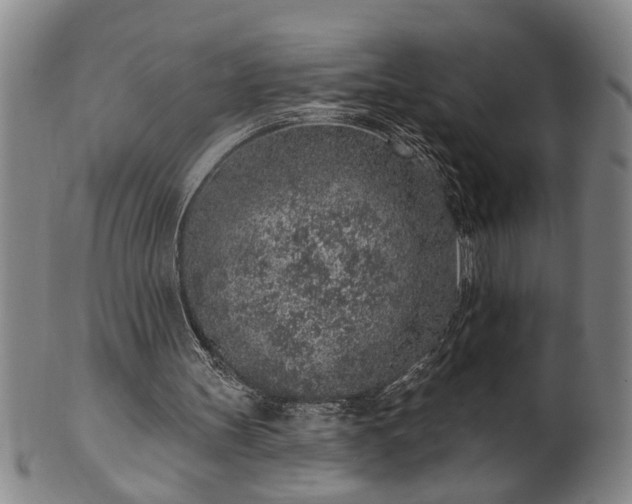 X0000102360147200808081138