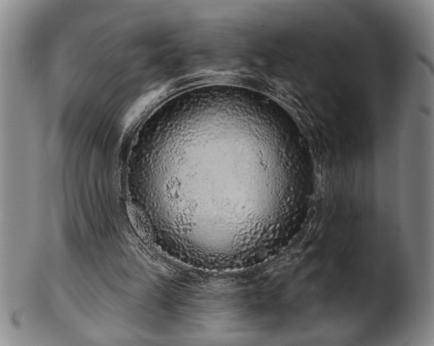 X0000102360149200808081138