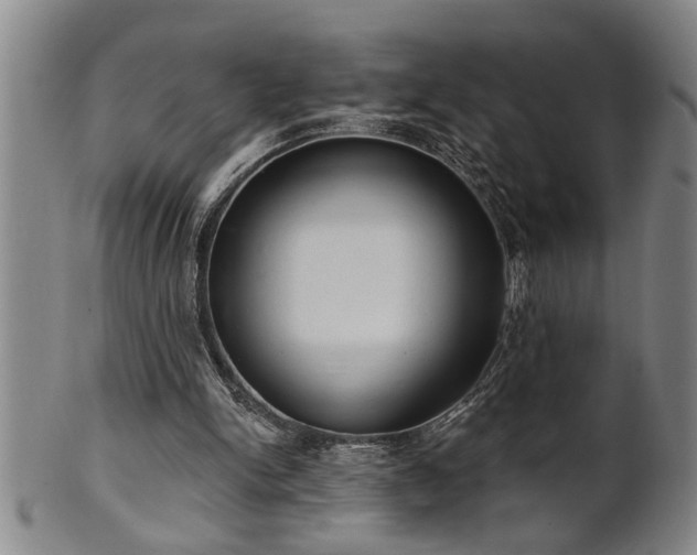 X0000102360150200808081138