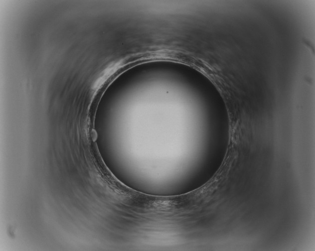 X0000102360152200808081138