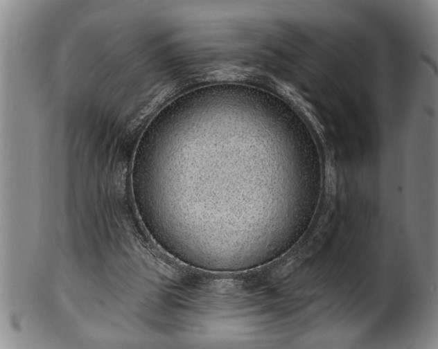 X0000102360153200808081138