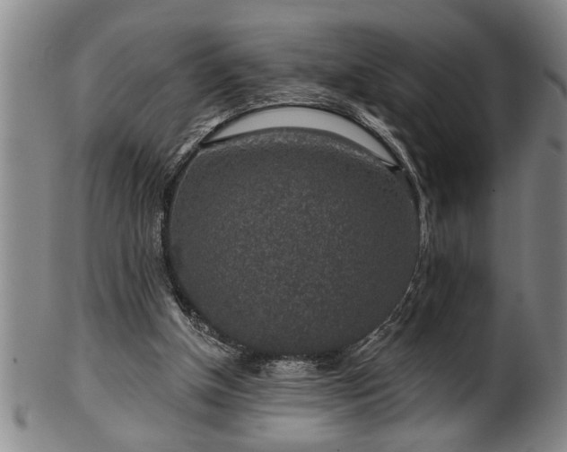 X0000102360154200808081138