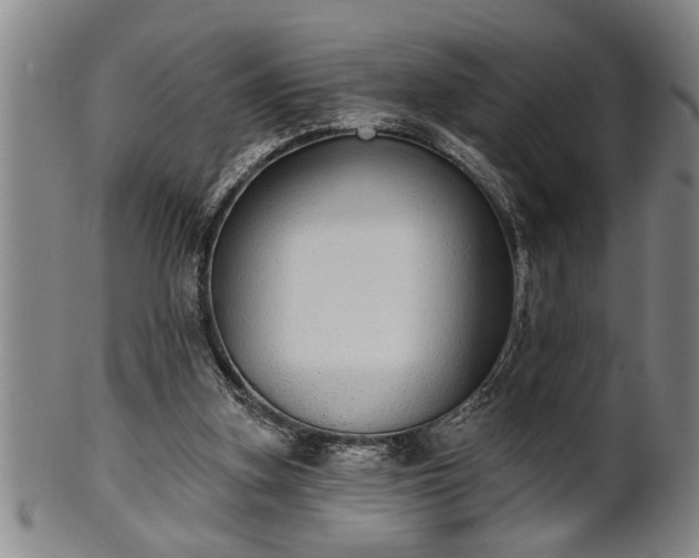 X0000102360155200808081138