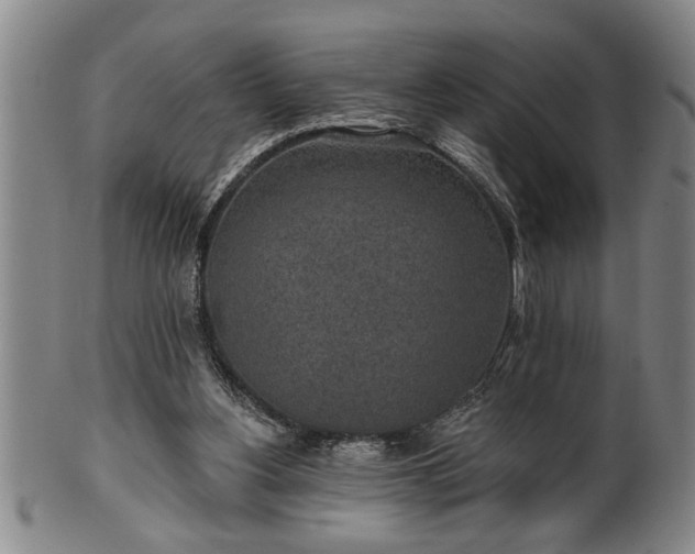 X0000102360156200808081138