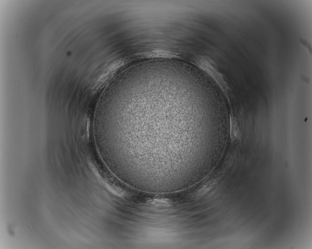 X0000102360157200808081138