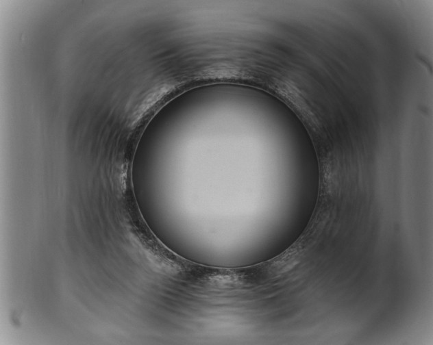 X0000102360160200808081138