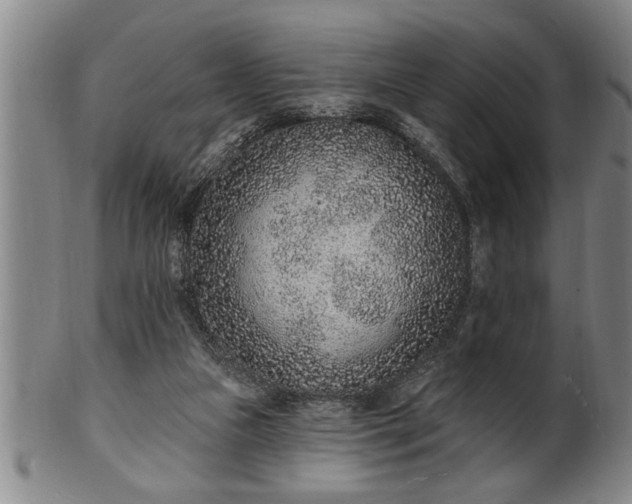 X0000102360161200808081138