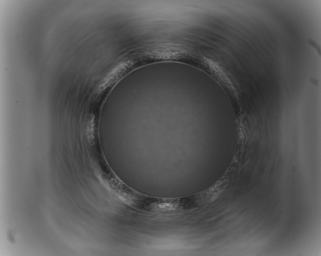 X0000102360163200808081138