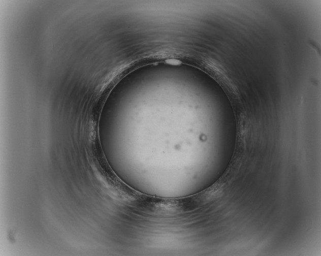 X0000102360164200808081138