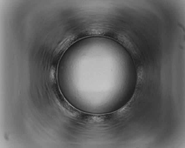 X0000102360166200808081138