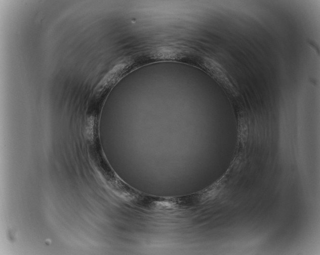 X0000102360167200808081138