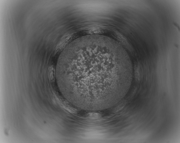 X0000102360169200808081138