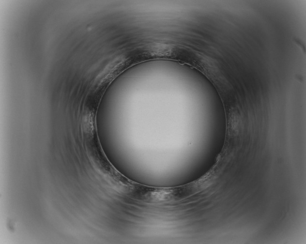 X0000102360172200808081138