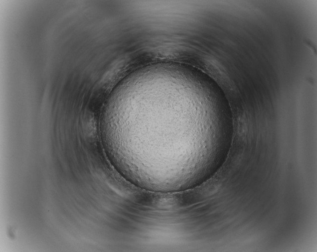 X0000102360173200808081138