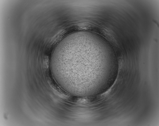 X0000102360174200808081138