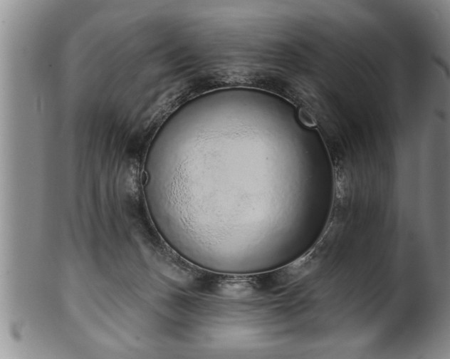 X0000102360175200808081138