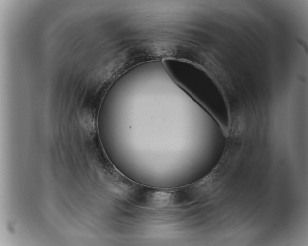 X0000102360176200808081138