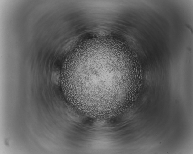 X0000102360177200808081138