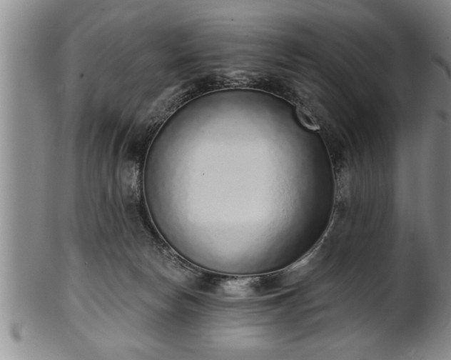 X0000102360178200808081138