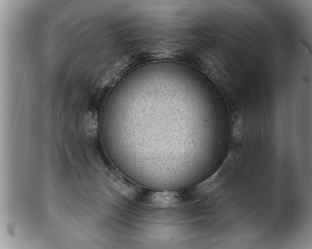 X0000102360179200808081138